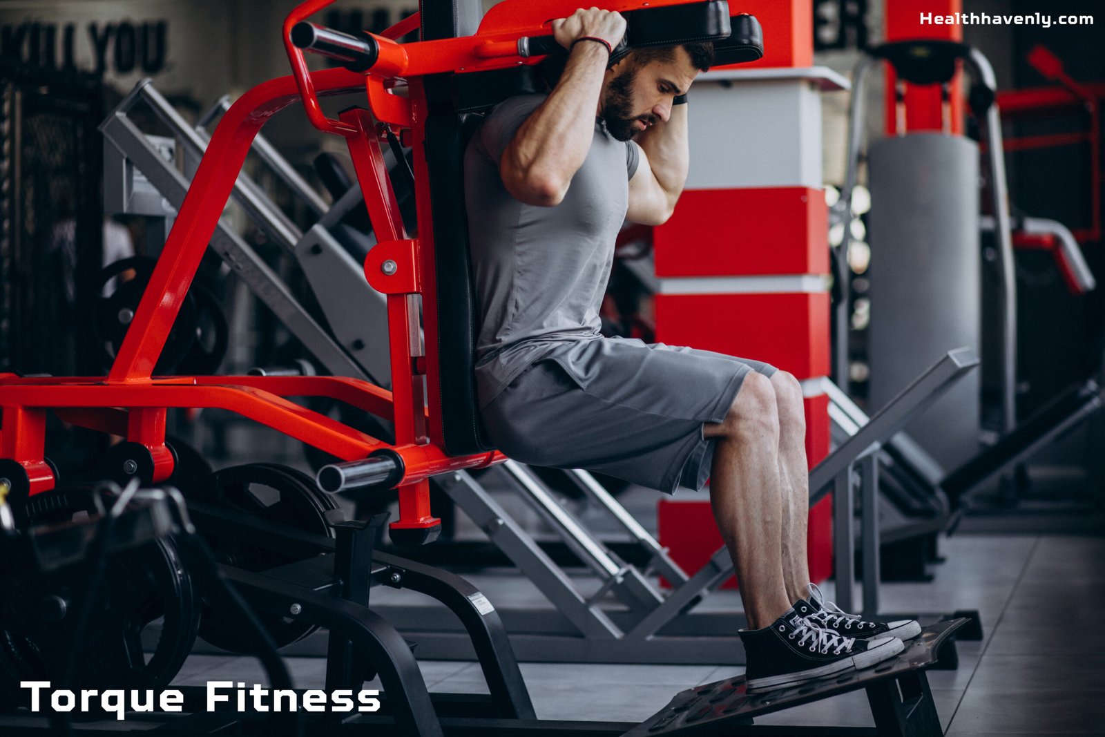 Torque Fitness: How Strength, Science, and Smart Training Build a Stronger Body