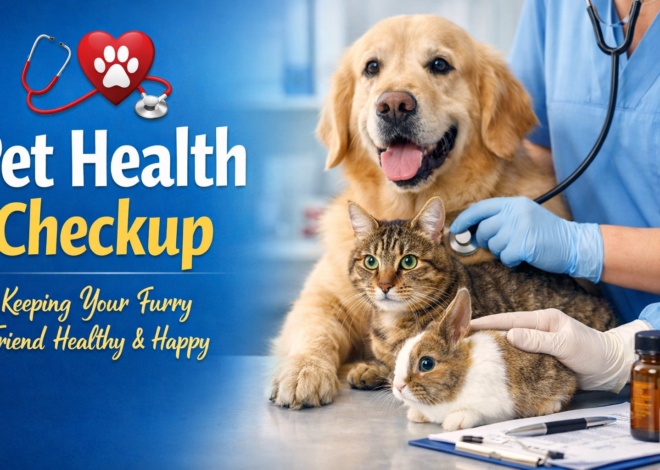 Pet Health Checkup: Ensuring Your Furry Friend Lives a Long, Happy Life